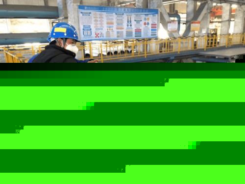 我省專家博士后科技服務(wù)團(tuán)走進(jìn)黃石，為信息技術(shù)咨詢服務(wù)注入新動(dòng)能